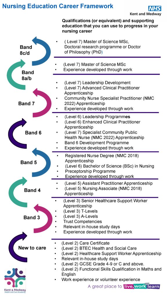 HR Nursing education caNursing education career framework EK Jan2025 V4